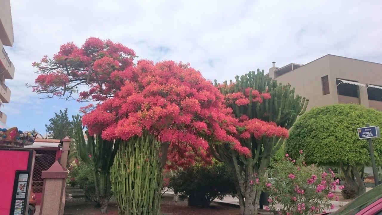 Floris'S Home Los Cristianos  Exterior photo